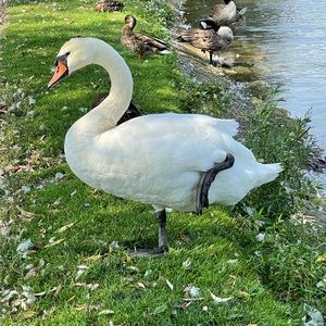 Meet your Posher, Dania